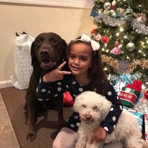 Meet your Posher, Rodney